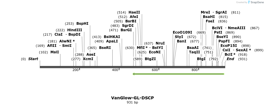 167458_map