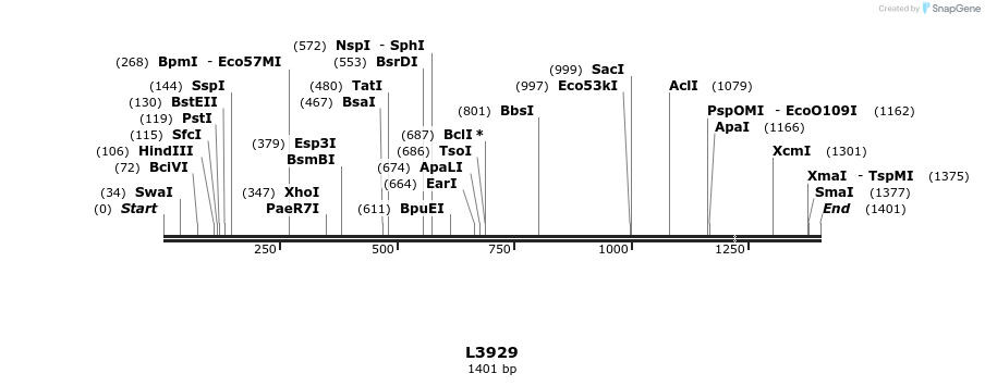 16746_map