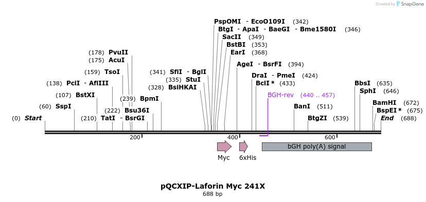 167464_map