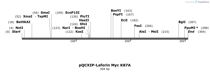 167465_map