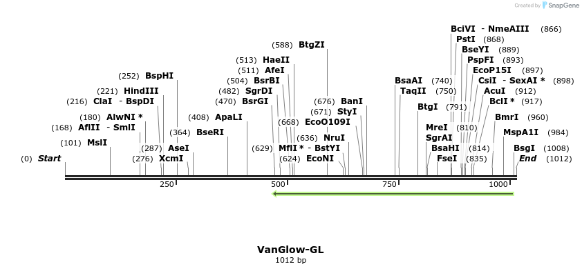 167466_map