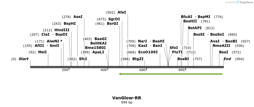 167468_map