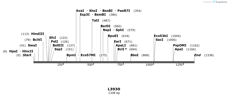 16747_map