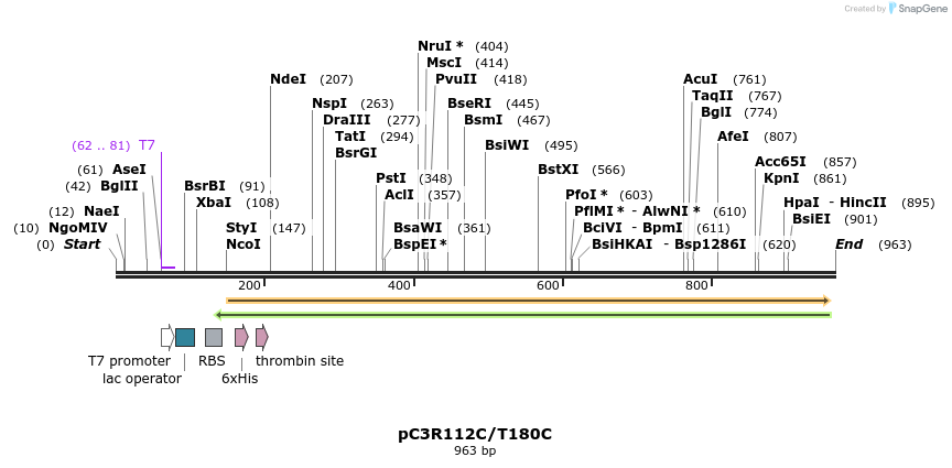 167472_map