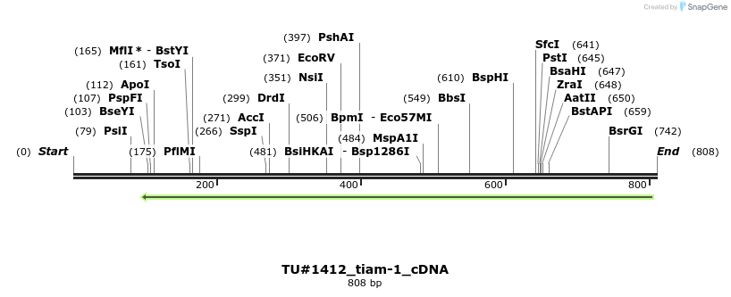 167477_map