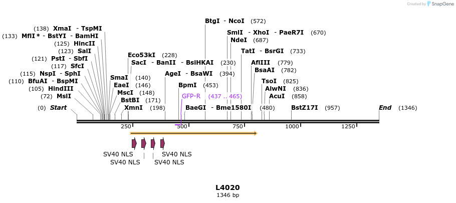 16750_map