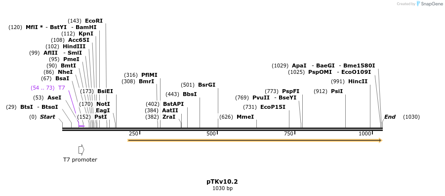 167502_map