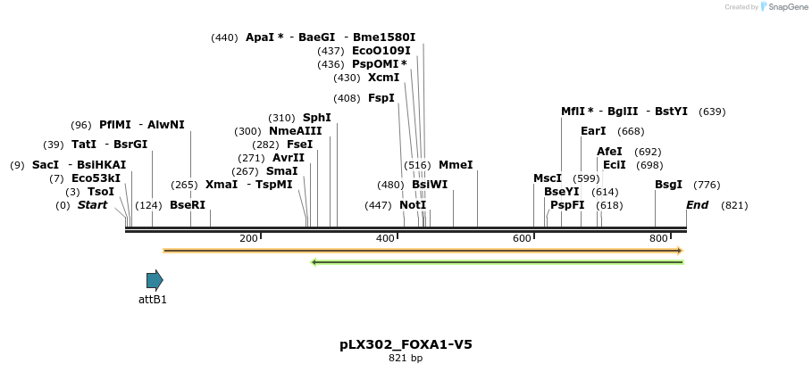 167514_map