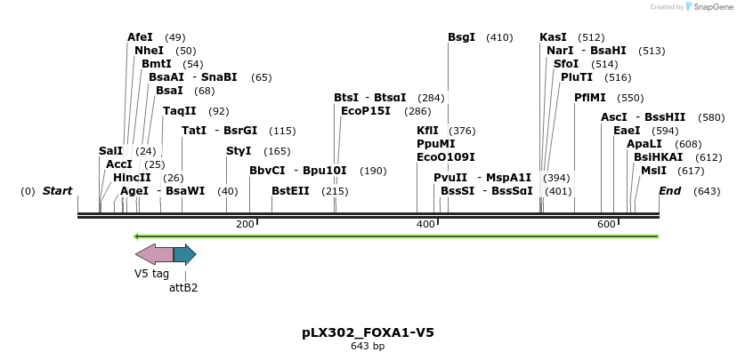 167515_map