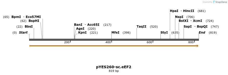 167519_map
