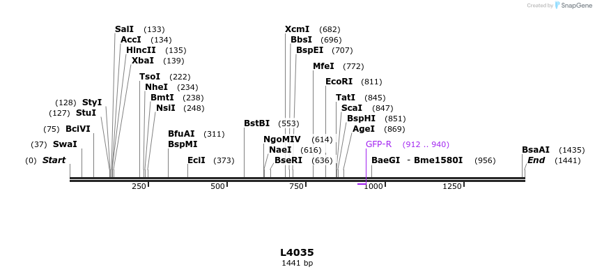 16752_map
