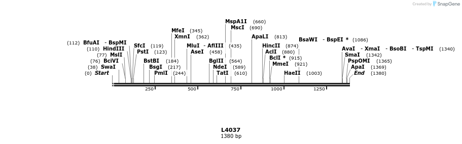 16753_map