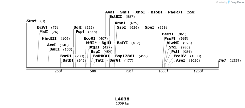 16754_map