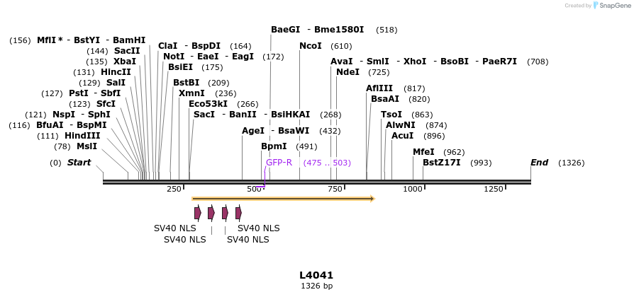 16756_map