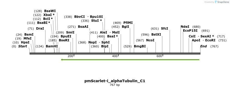 167568_map