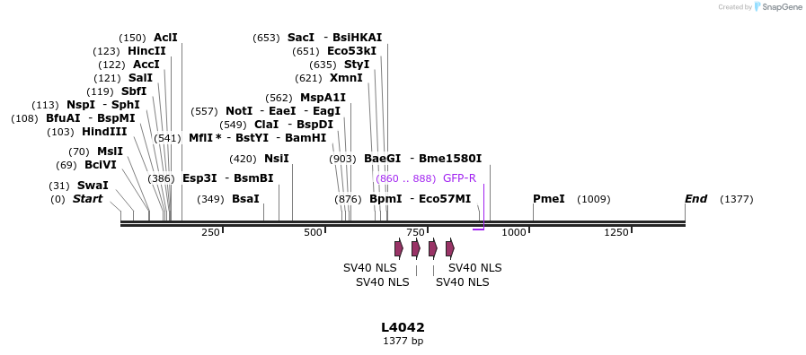 16757_map
