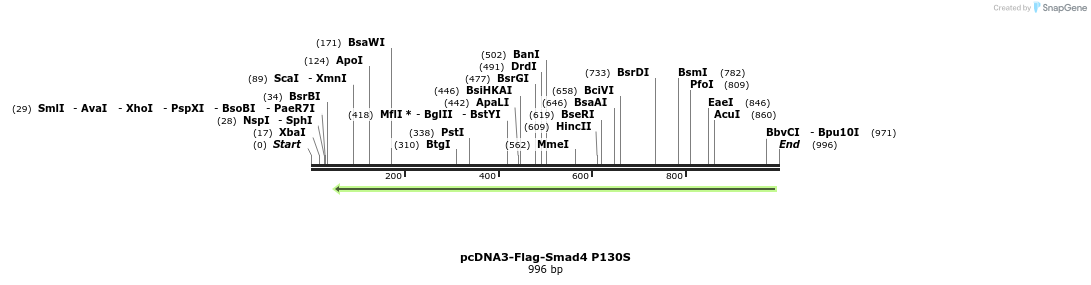 167597_map