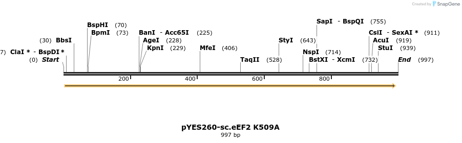 167609_map