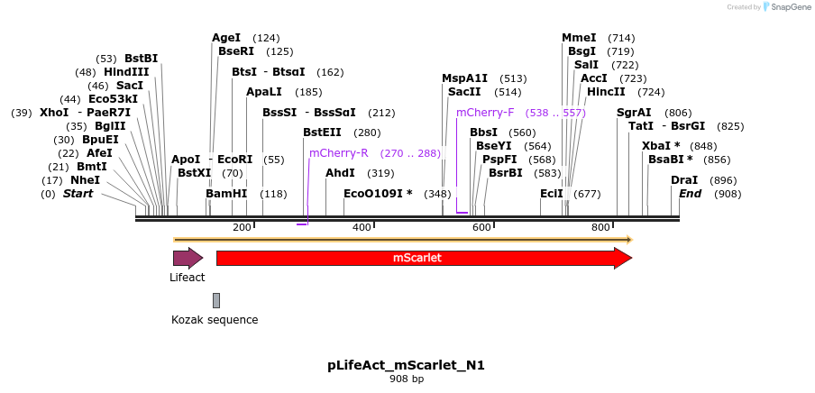 167612_map