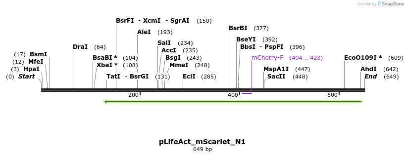 167613_map