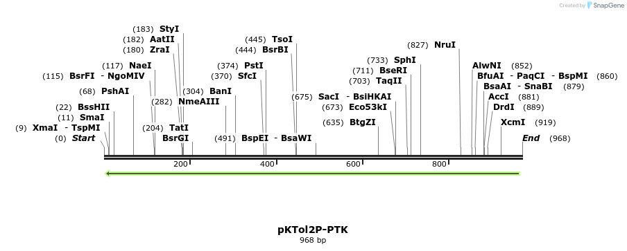 167615_map