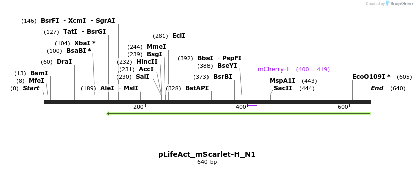 167618_map