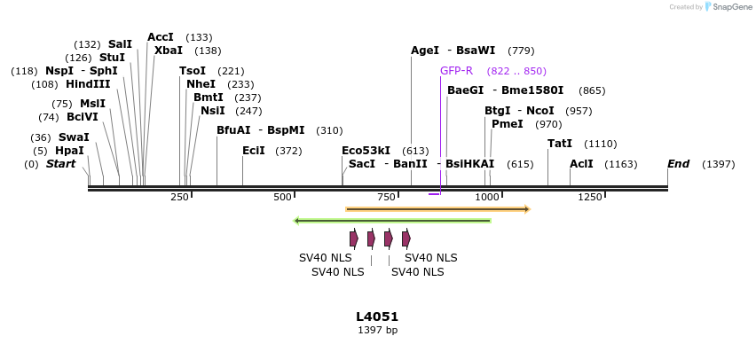 16762_map