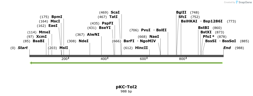 167626_map