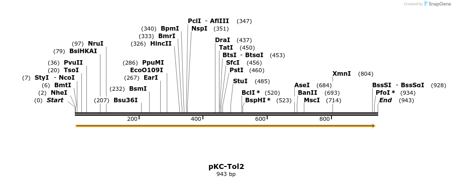 167627_map