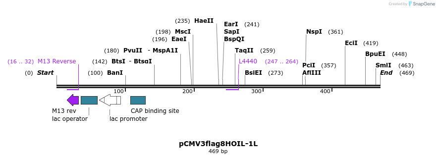 167639_map