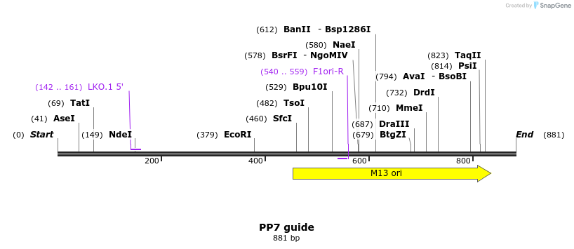 167659_map