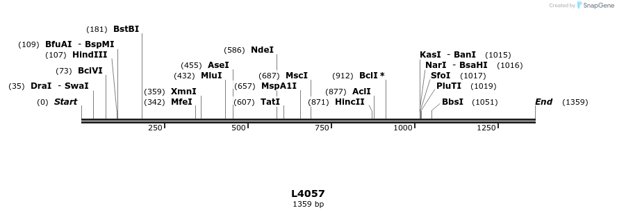 16766_map