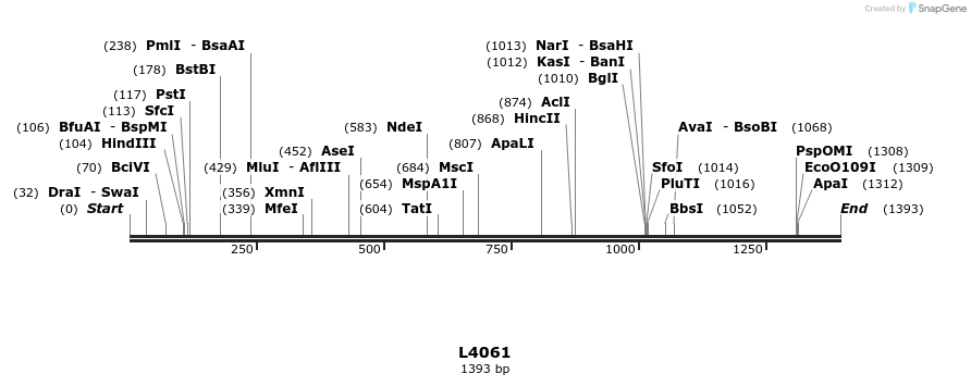 16768_map