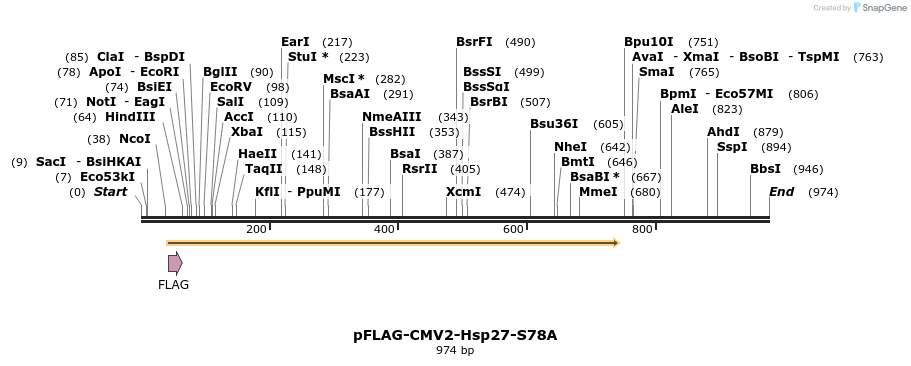 167683_map