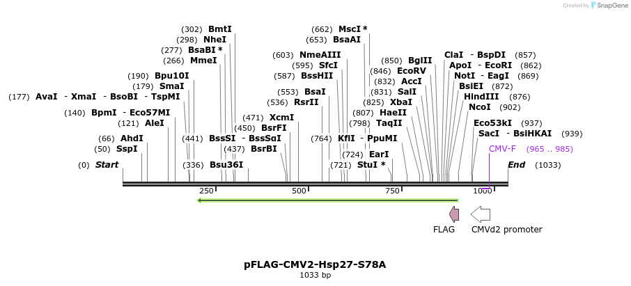 167686_map