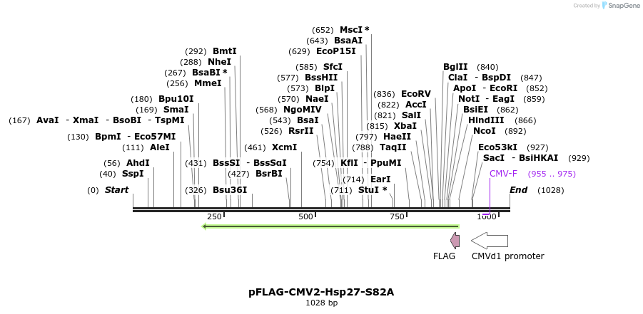 167693_map