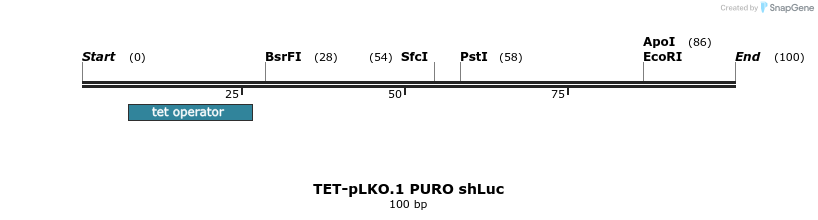 167694_map