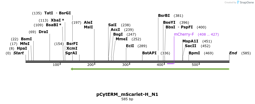 167700_map
