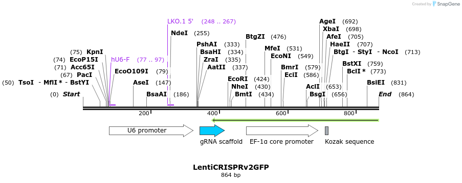 167702_map