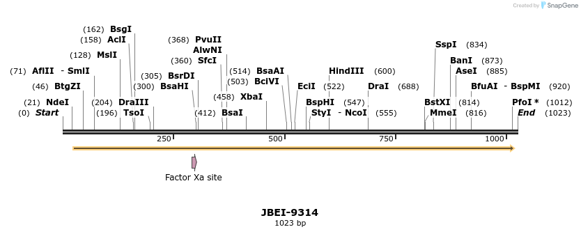167703_map