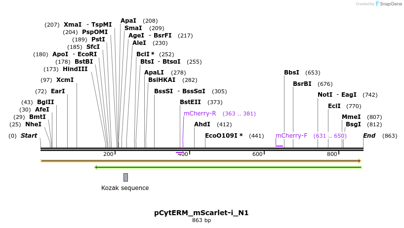 167705_map