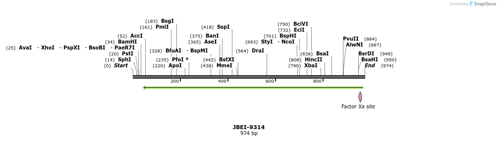 167706_map