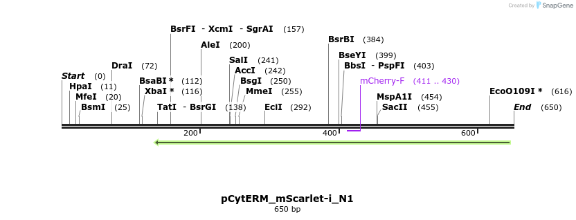 167707_map