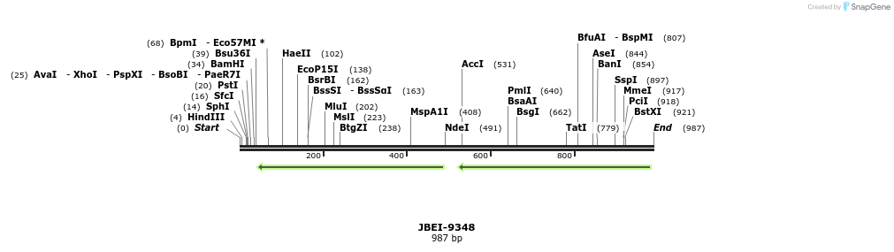167714_map
