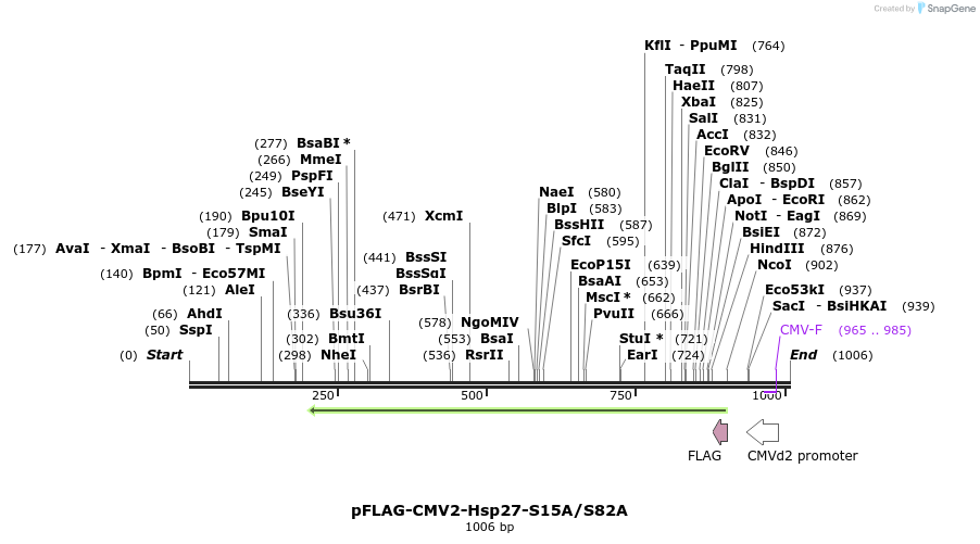 167717_map