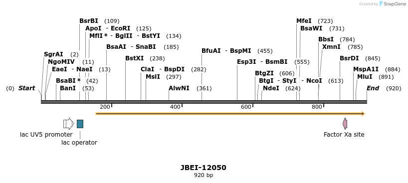 167720_map