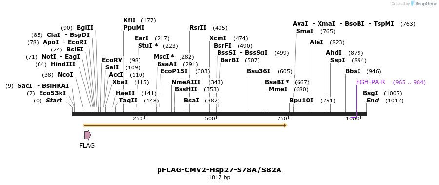 167721_map