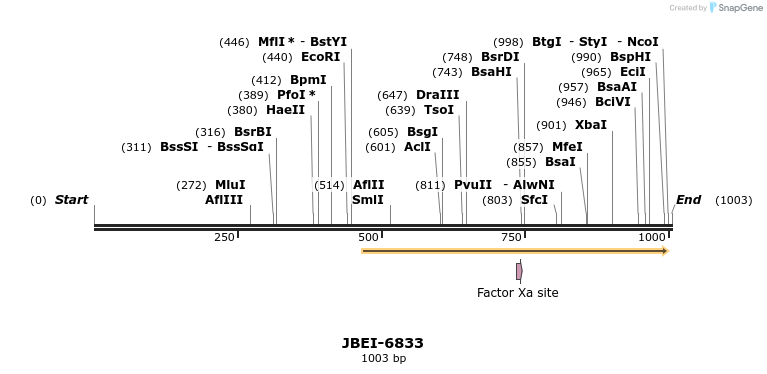 167722_map