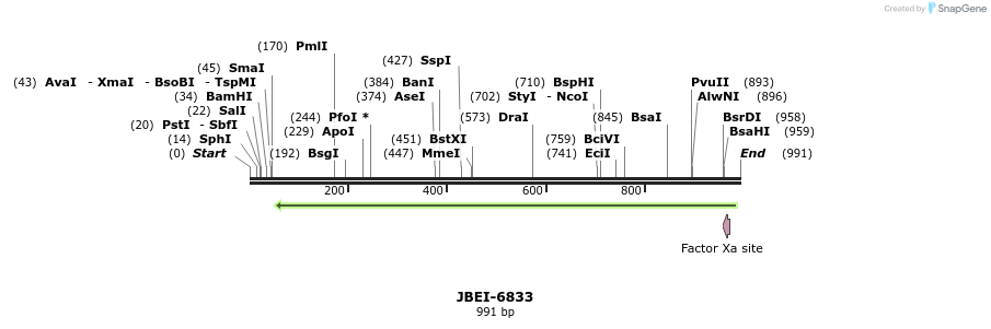 167725_map