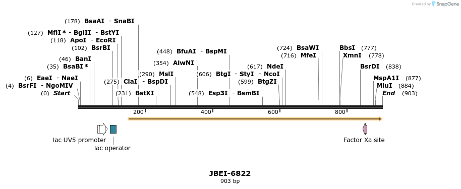 167730_map